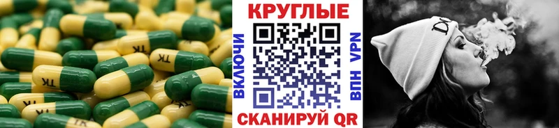 ссылка на мегу ссылка  продажа наркотиков  Волосово  ЭКСТАЗИ Punisher 