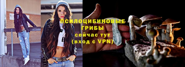 гашик Беломорск