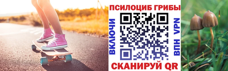 Галлюциногенные грибы Cubensis  кракен зеркало  Волосово  купить  